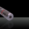 10mW 532nm acier chromé kaléidoscopique vert pointeur laser argent (avec deux piles AAA)