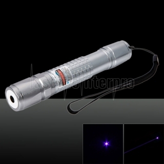 300mW Purple Beam Lumière Vérifier Motif Torche Laser Argent