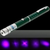 1mW 405nm Purple Beam Light Starry Light Style Middle-open Laser Pointer Pen with 5pcs Laser Heads Green