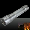 Pen Pointer Laser Estilo 50mw 532nm feixe de luz Dot Luz recarregável com carregador de prata