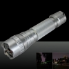 501B 200mW 532nm Green Beam Light Single-point Laser Pointer Pen Silver