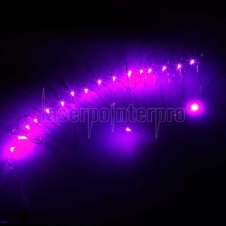 2M-20L-4.5V 1.2W-alambre de plata con pilas ordinarias Luces de Cuerda y sin forma fija púrpura