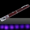 10mW Middle Open Starry Pattern Purple Light Naked Laser Pointer Pen Red