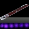 5mW Starry Pattern Middle Open Purple Light Naked Laser Pointer Pen Red