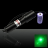 Puntatore laser verde stile 200 mW 532nm torcia elettrica (1010)