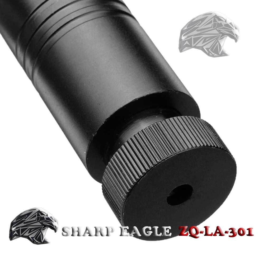 SHARP EAGLE 500mW 405nm Lila Licht Sternenhimmel Laser Style Zeiger mit Halterung & Gehäuse Schwarz